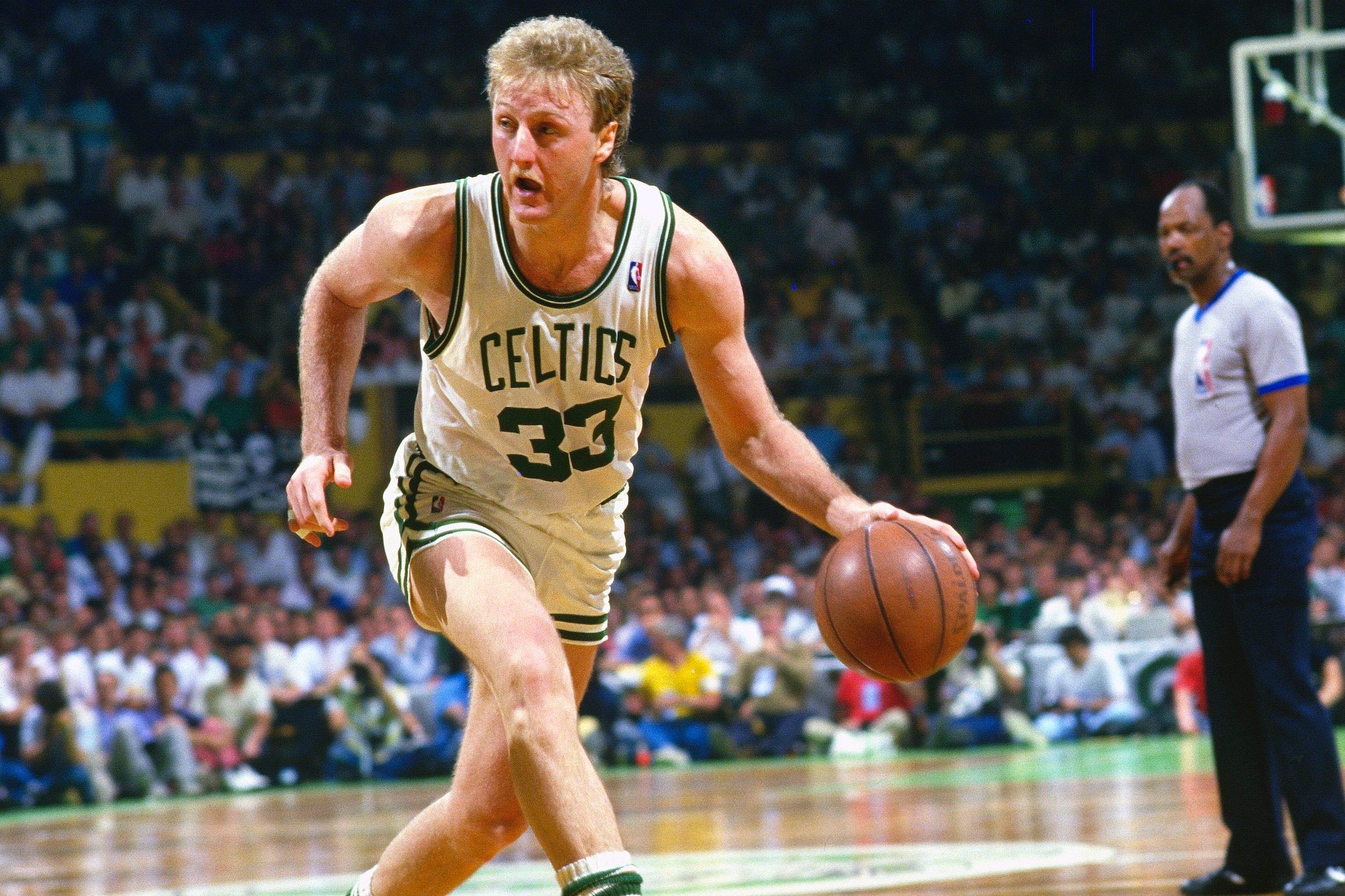 larry bird