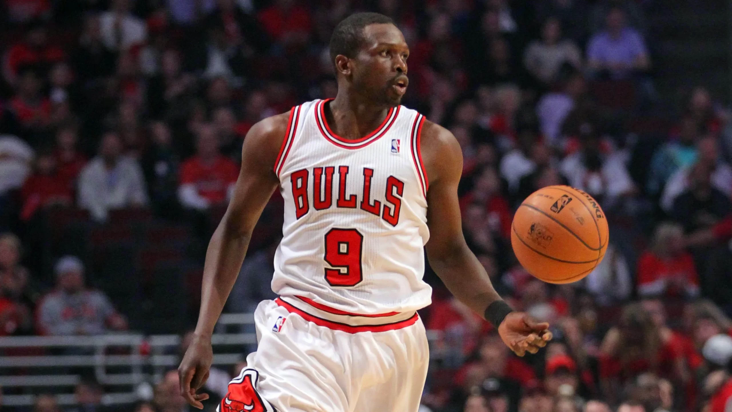 luol deng chicago bulls